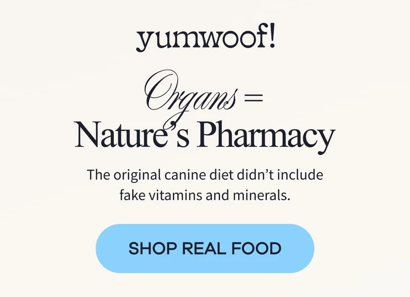 yumwoof! | Organs = Nature’s Pharmacy | The original canine diet didn’t include fake vitamins and minerals. | SHOP REAL FOOD