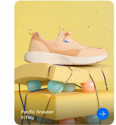 Pacific Sneaker in Ray