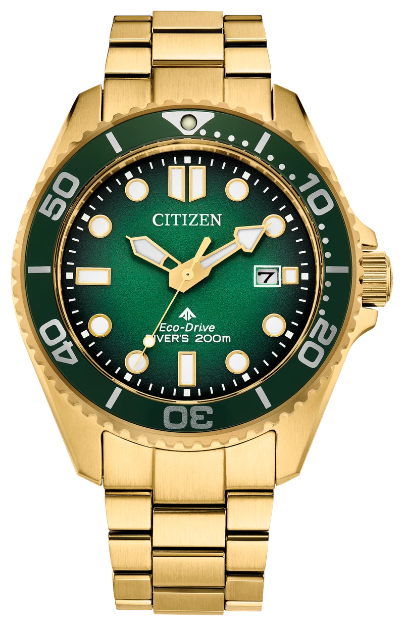 Image of Promaster Dive