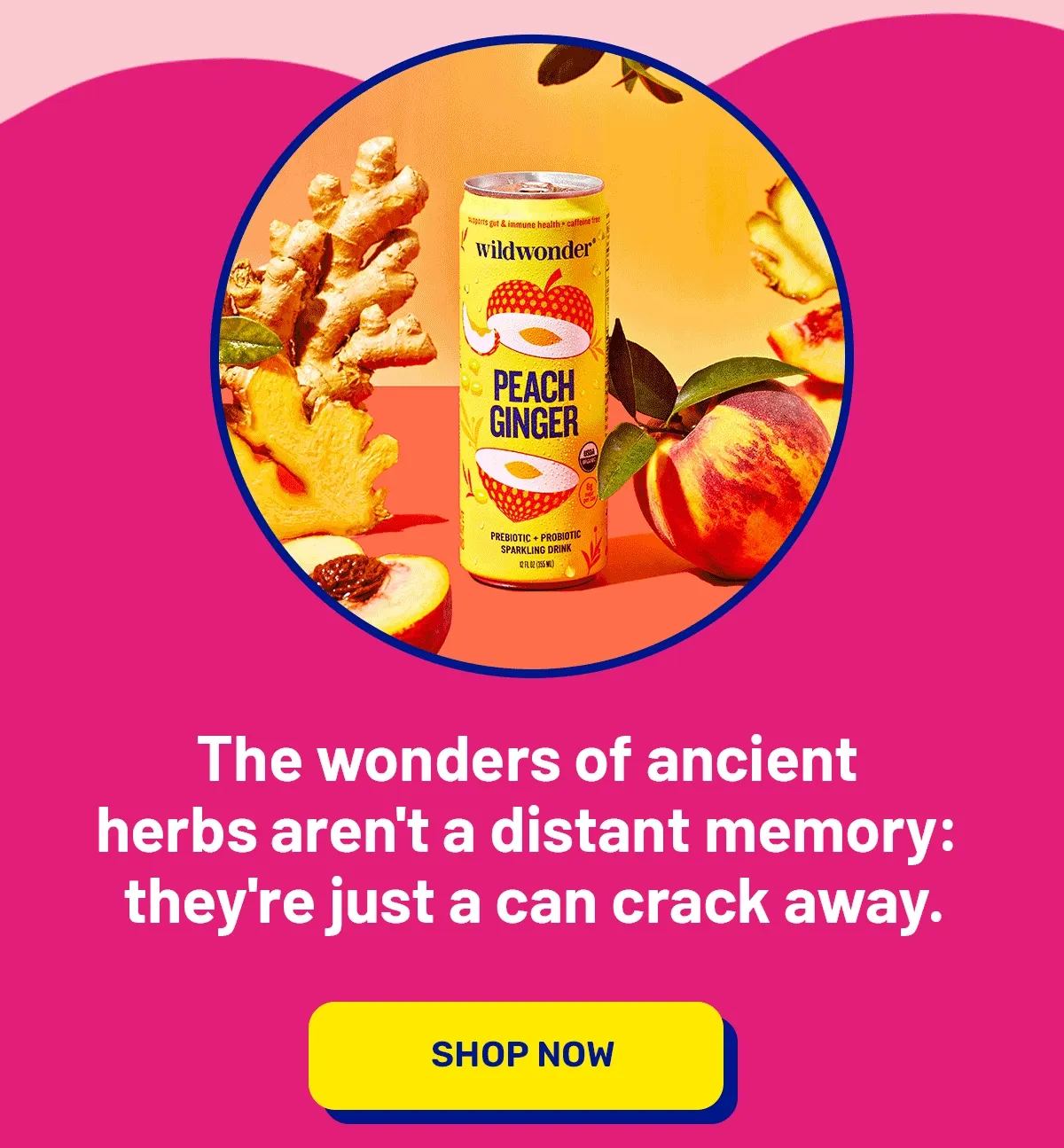 The wonders of ancient herbs