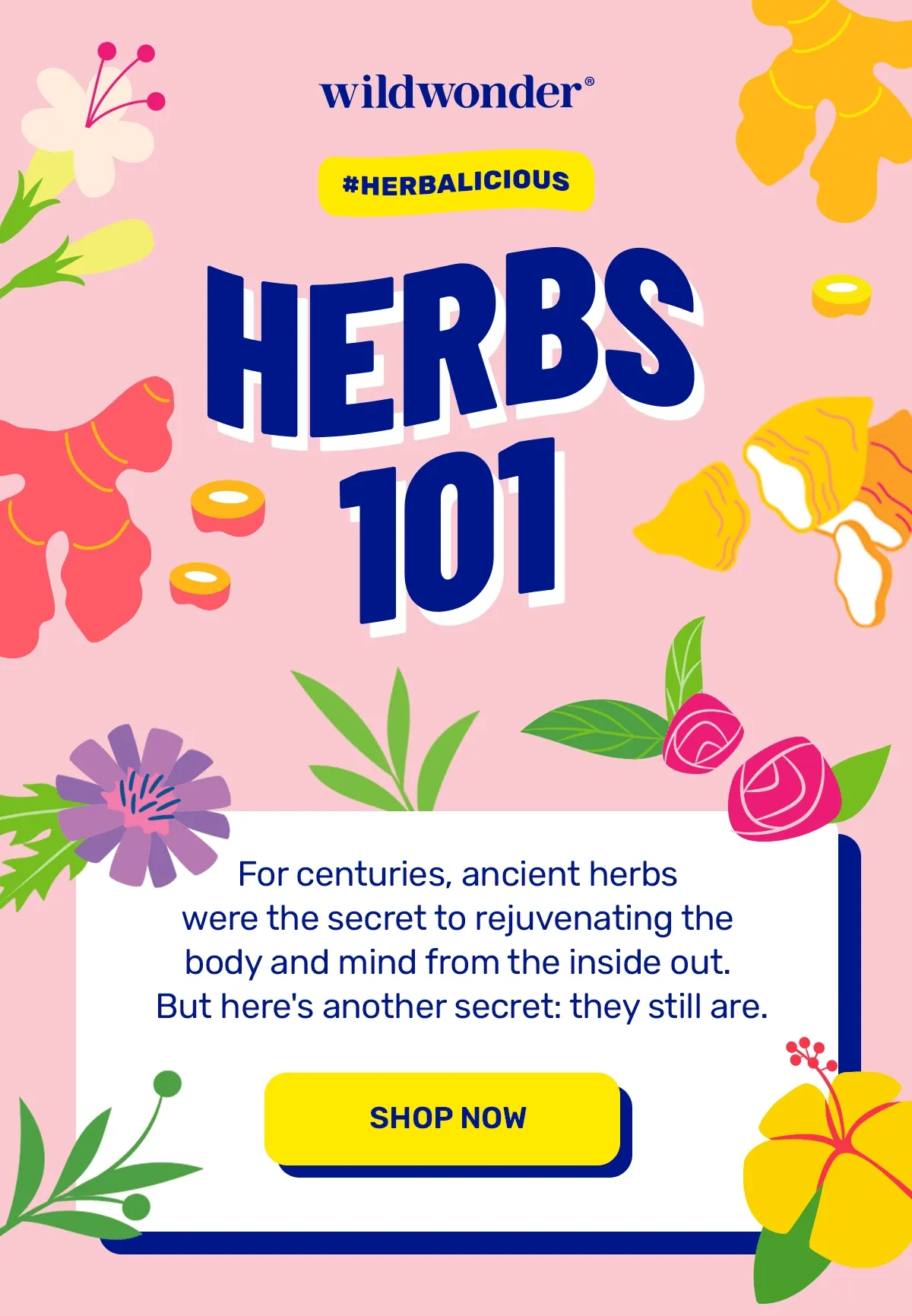 Herbs 101