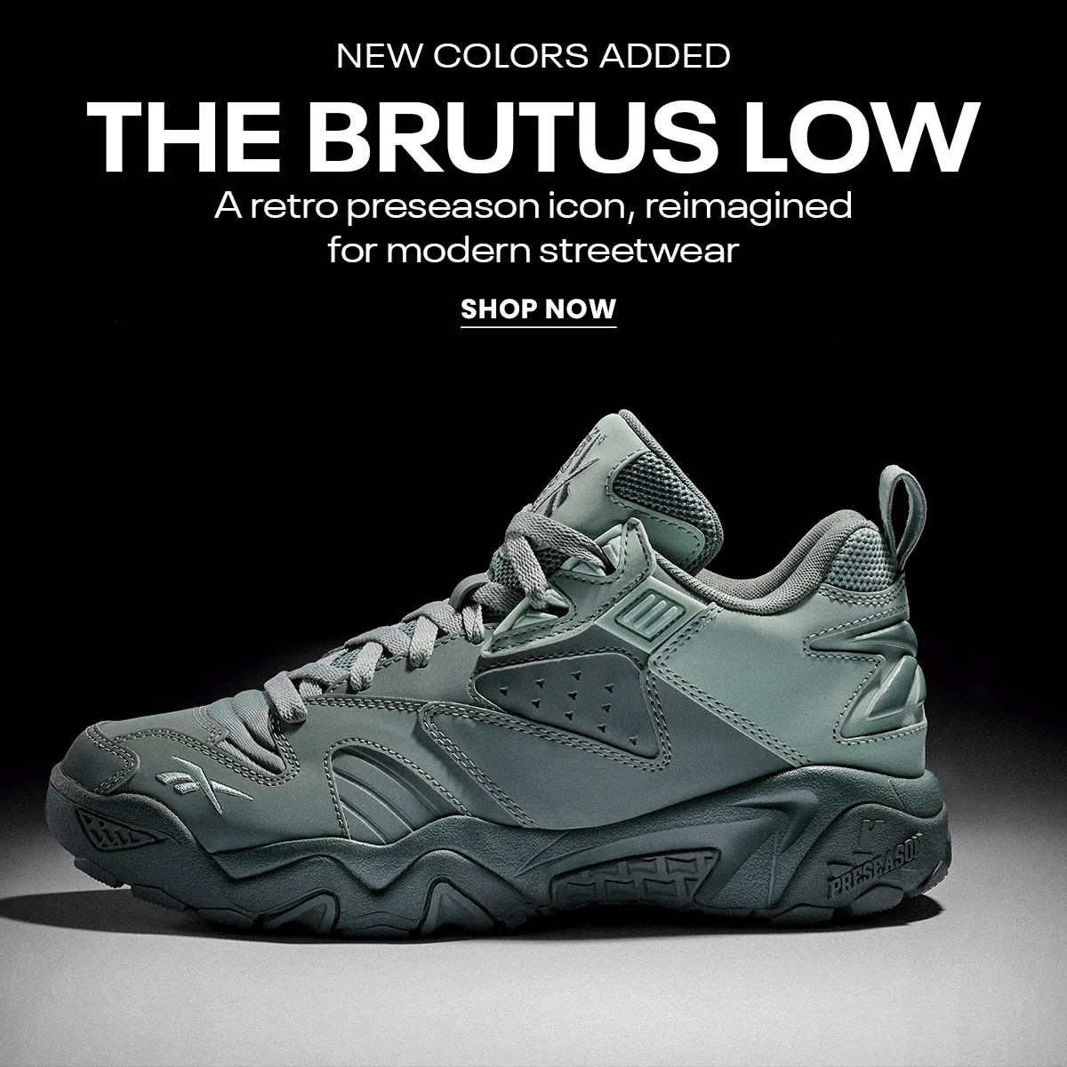 basketball-brutus-low