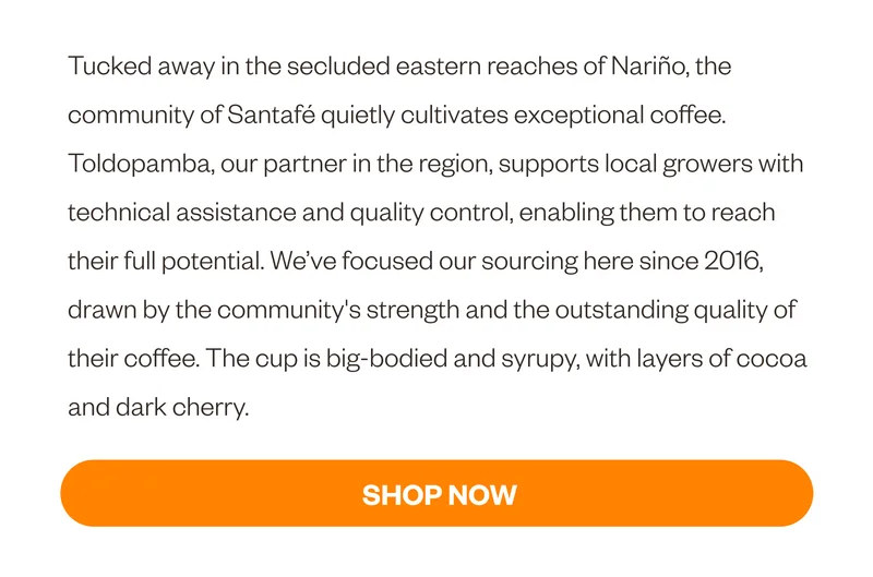 Tucked away in the secluded eastern reaches of Nariño, the community of Santafé quietly cultivates exceptional coffee. Toldopamba, our partner in the region, supports local growers with technical assistance and quality control, enabling them to reach their full potential. We’ve focused our sourcing here since 2016, drawn by the community's strength and the outstanding quality of their coffee. The cup is big-bodied and syrupy, with layers of cocoa and dark cherry. CTA SHOP NOW