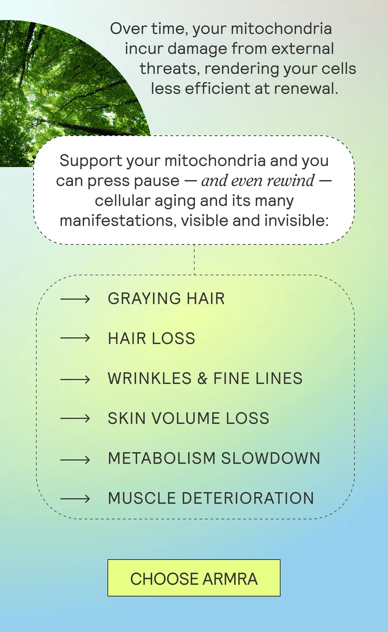 Over time, your mitochondria incur damage from external threats, rendering your cells less efficient at renewal.   Support your mitochondria and you can press pause — and even rewind — on cellular aging and its many manifestations, visible and invisible:  Graying Hair Hair Loss Wrinkles & Fine Lines Skin Volume Loss Metabolism Slowdown Muscle Deterioration