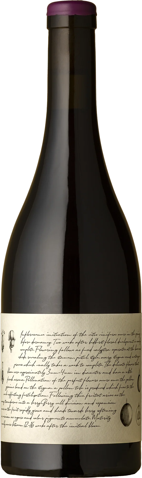 Image of M&J Becker Wines <BR> Tumbarumba Pinot Noir 2024