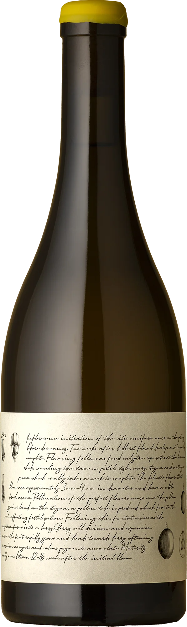Image of M&J Becker Wines <BR> Hunter Valley Chardonnay 2024