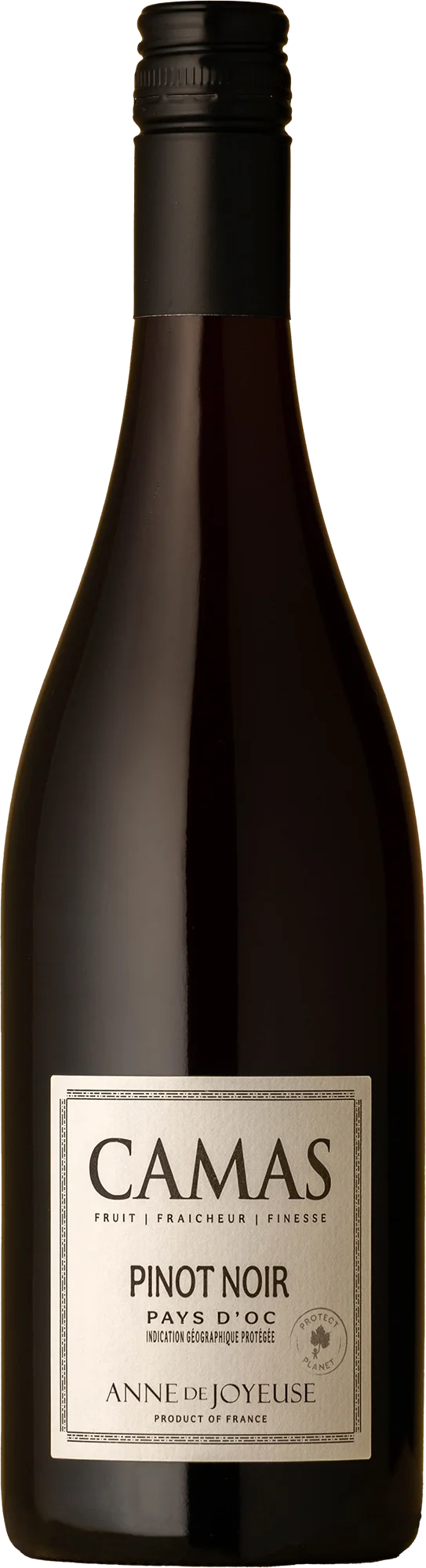 Image of Camas <BR> Pays d'Oc Pinot Noir 2024