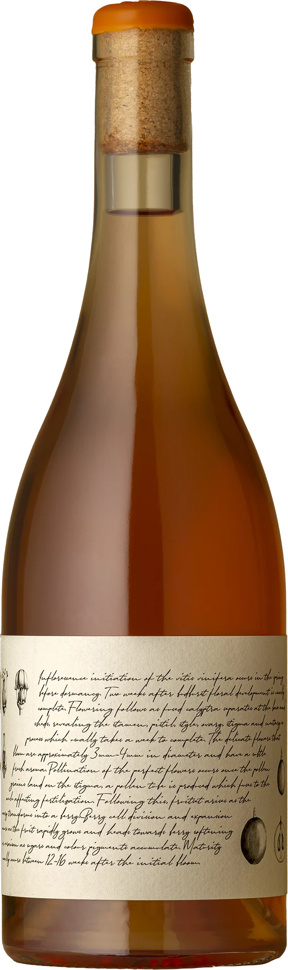 Image of M&J Becker Wines <BR> Amber Skin-contact Pinot Gris 2024