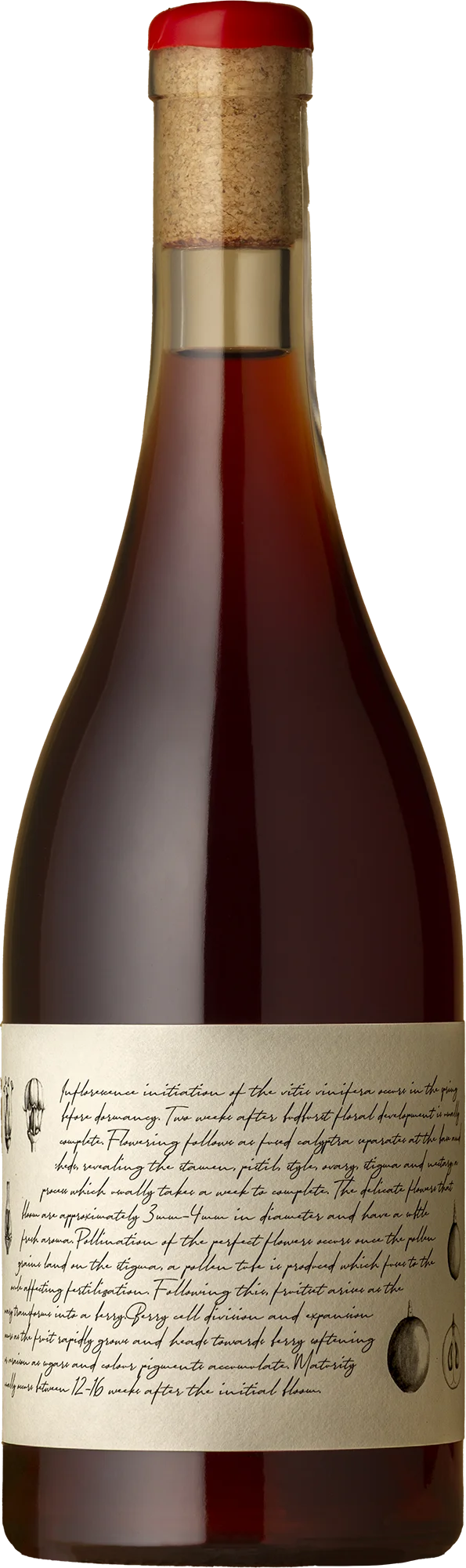 Image of M&J Becker Wines <BR> Tumbarumba Pinot Meunier 2024