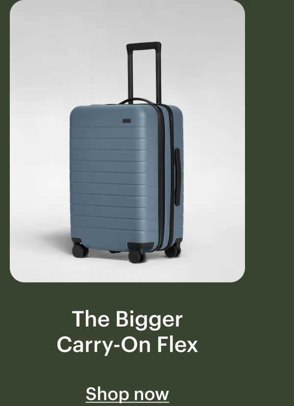 The Bigger Carry-On Flex