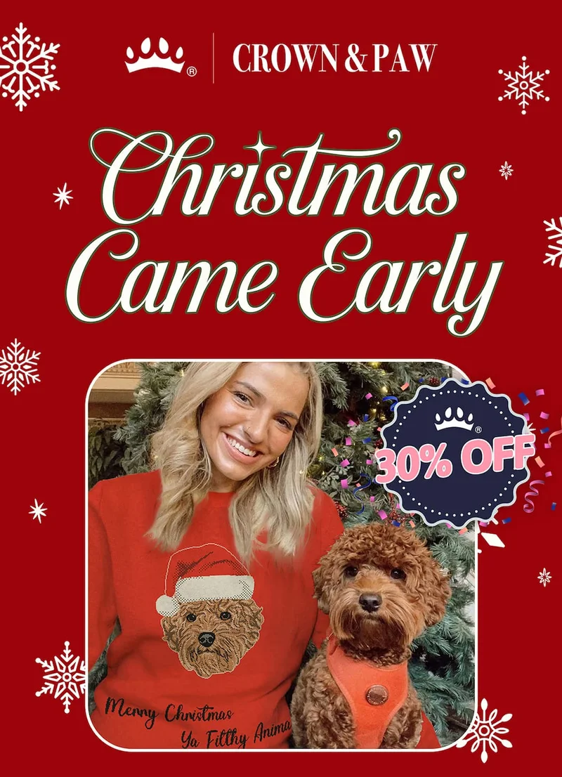 Christmas Came Early | Buy One Get One 30% Off Christmas Knitted Sweaters