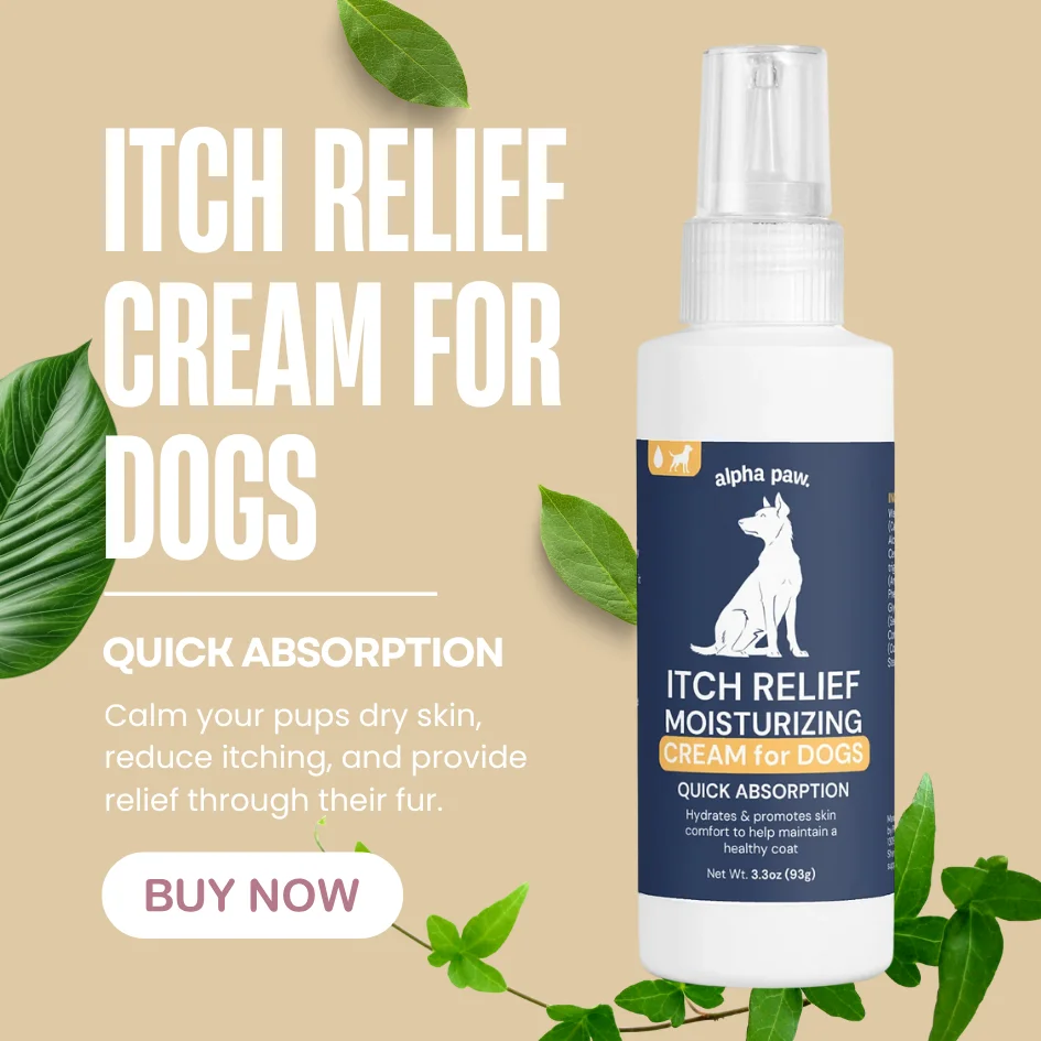 Help Your Dogs Dry Skin