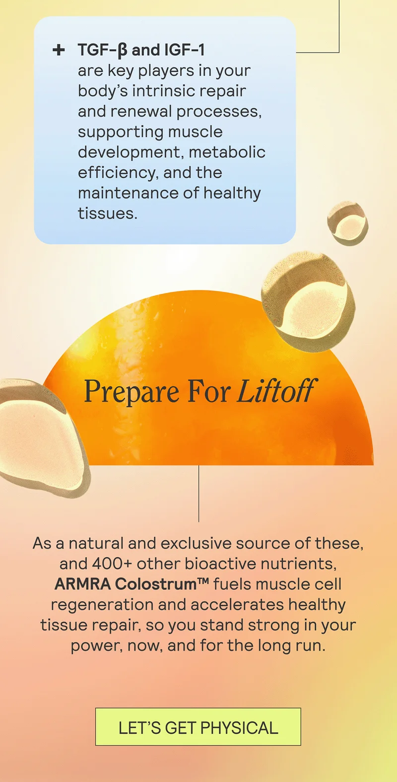 TGF-β and IGF-1 are key players in your body’s intrinsic repair and renewal processes, supporting muscle development, metabolic efficiency, and the maintenance of healthy tissues.