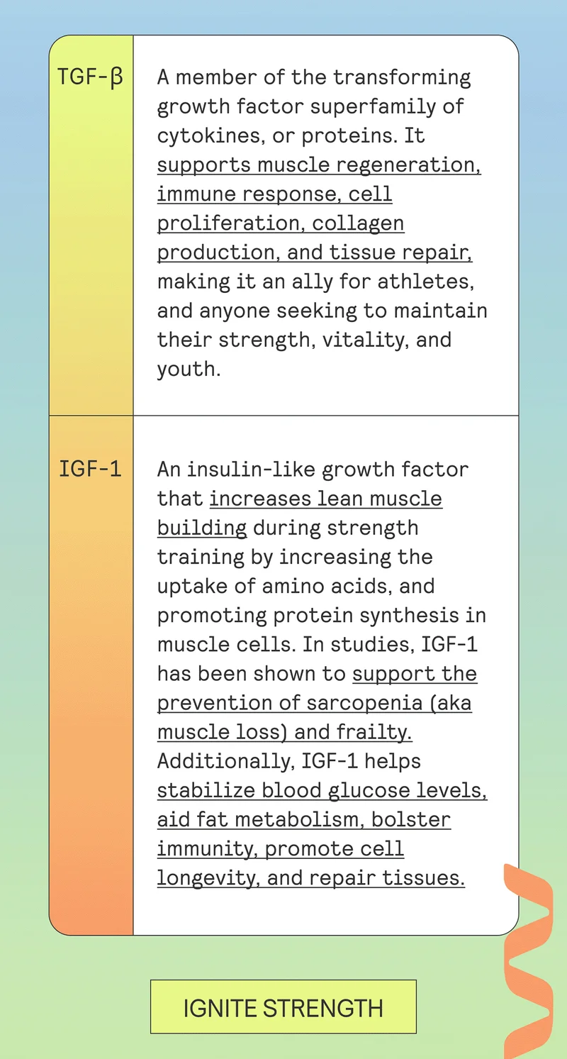 TGF-β: A member of the transforming growth factor superfamily of cytokines, or proteins. It supports muscle regeneration, immune response, cell proliferation, collagen production, and tissue repair, making it an ally for athletes, and anyone seeking to maintain their strength, vitality, and youth.  IGF-1: An insulin-like growth factor that increases lean muscle building during strength training by increasing the uptake of amino acids, and promoting protein synthesis in muscle cells. In studies, IGF-1 has been shown to support the prevention of sarcopenia (aka muscle loss) and frailty. Additionally, IGF-1 helps stabilize blood glucose levels, aid fat metabolism, bolster immunity, promote cell longevity, and repair tissues.