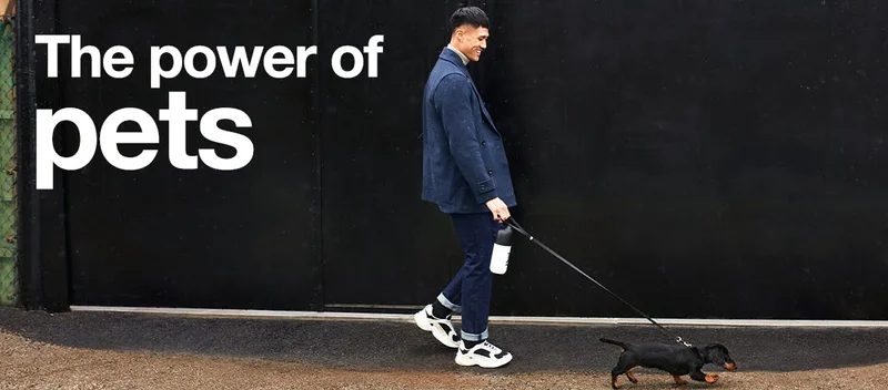 The power of pets