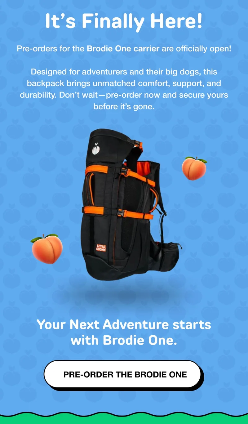 PRE-ORDER THE BRODIE ONE