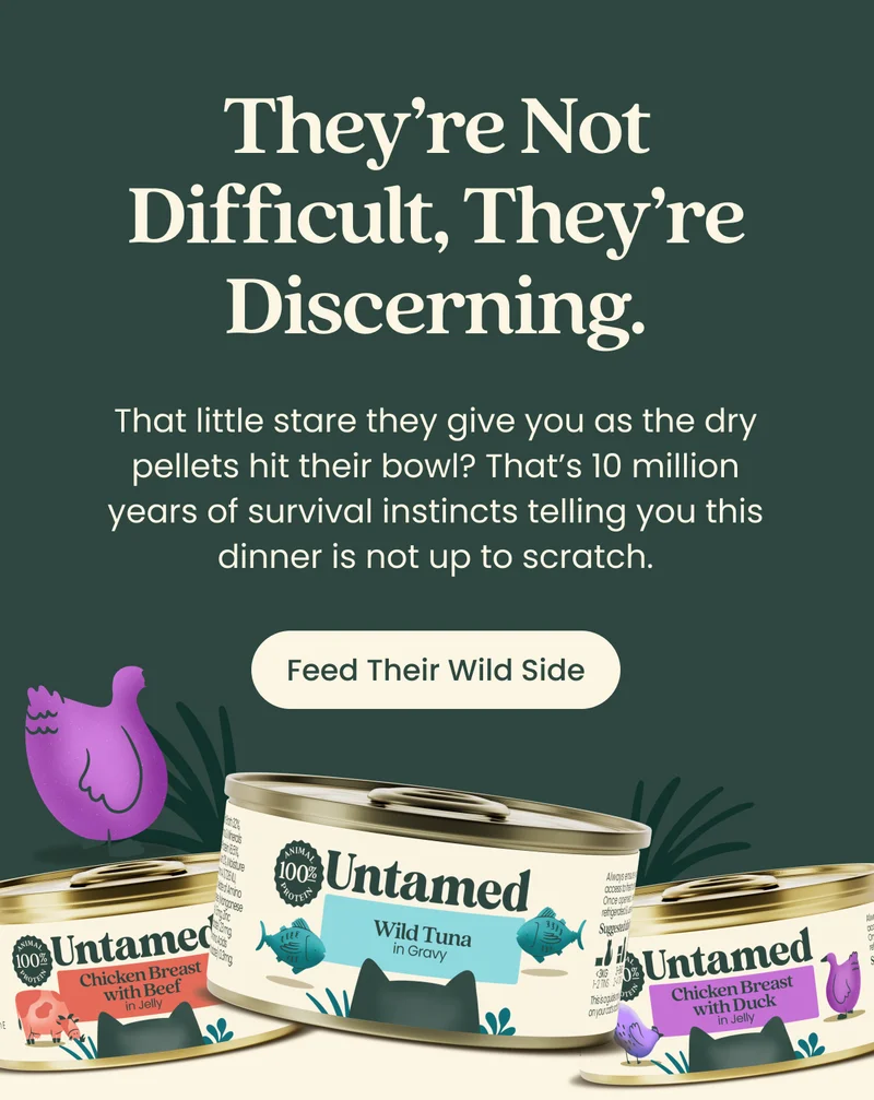 Feed Their Wild Side