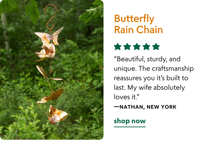 Butterfly Rain Chain