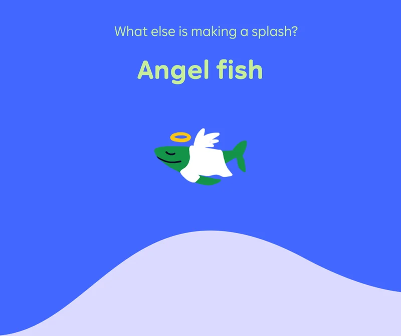 What else is making a splash? Angel fish