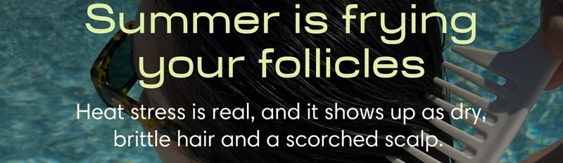 Summer is frying your follicles Heat stress is real, and it shows up as dry, brittle hair and a scorched scalp.