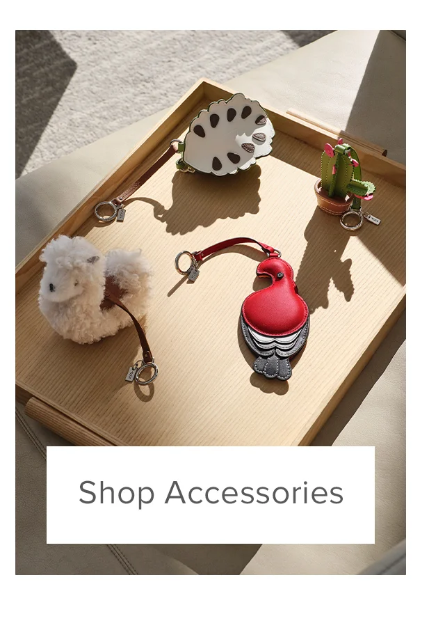 Shop Semi-Annual Sale: Accessories