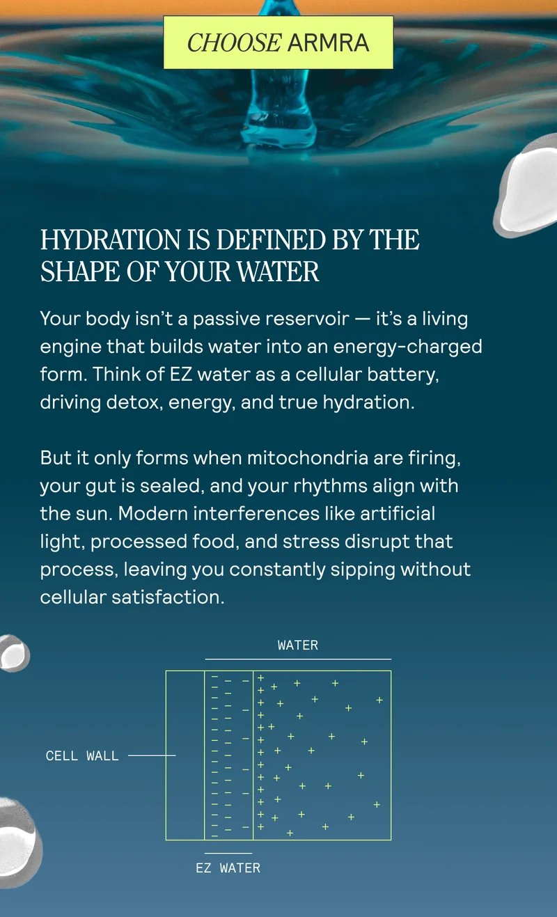 HYDRATION IS DEFINED BY THE SHAPE OF YOUR WATER Your body isn’t a passive reservoir — it’s a living  engine that builds water into an energy-charged form. Think of EZ water as a cellular battery, driving detox, energy, and true hydration.  But it only forms when mitochondria are firing, your gut is sealed, and your rhythms align with the sun. Modern interferences like artificial  light, processed food, and stress disrupt that  process, leaving you constantly sipping without cellular satisfaction.