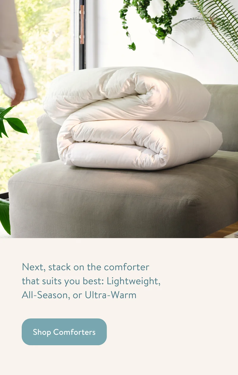 Shop Comforters