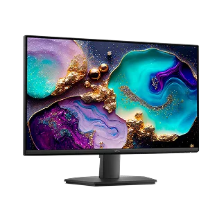 A Dell monitor.