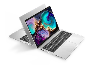 A pair of Dell laptop computers.