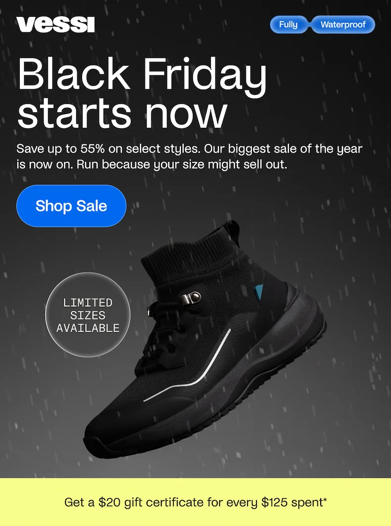 Black Friday Sale