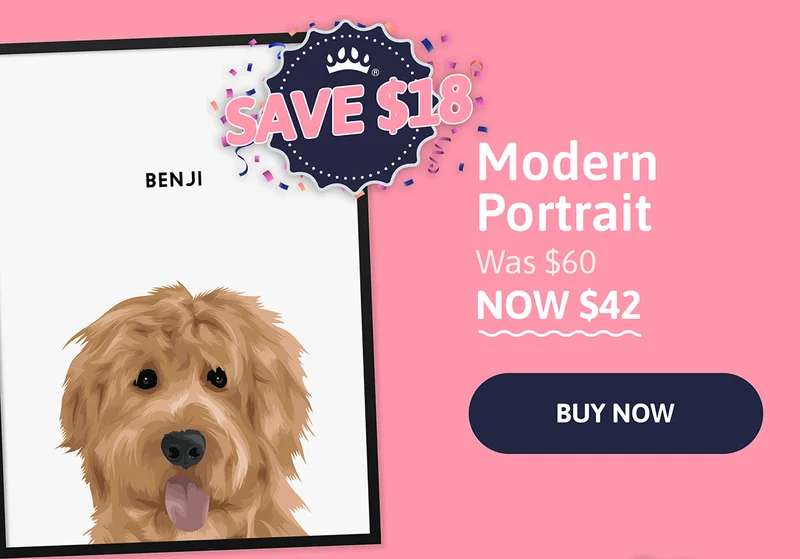Modern Pet Portrait. Was $60. NOW $42