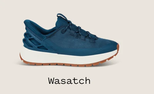 Wasatch Tidepool