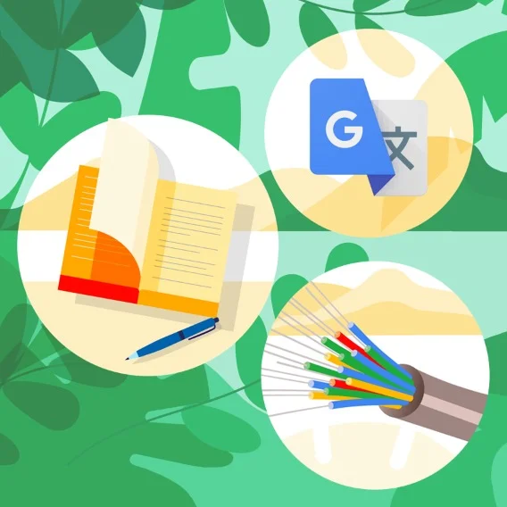 An illustration of green leaves with three illustrated icons including a notebook and pen, fiber optic cables, and a grey letter 'G'