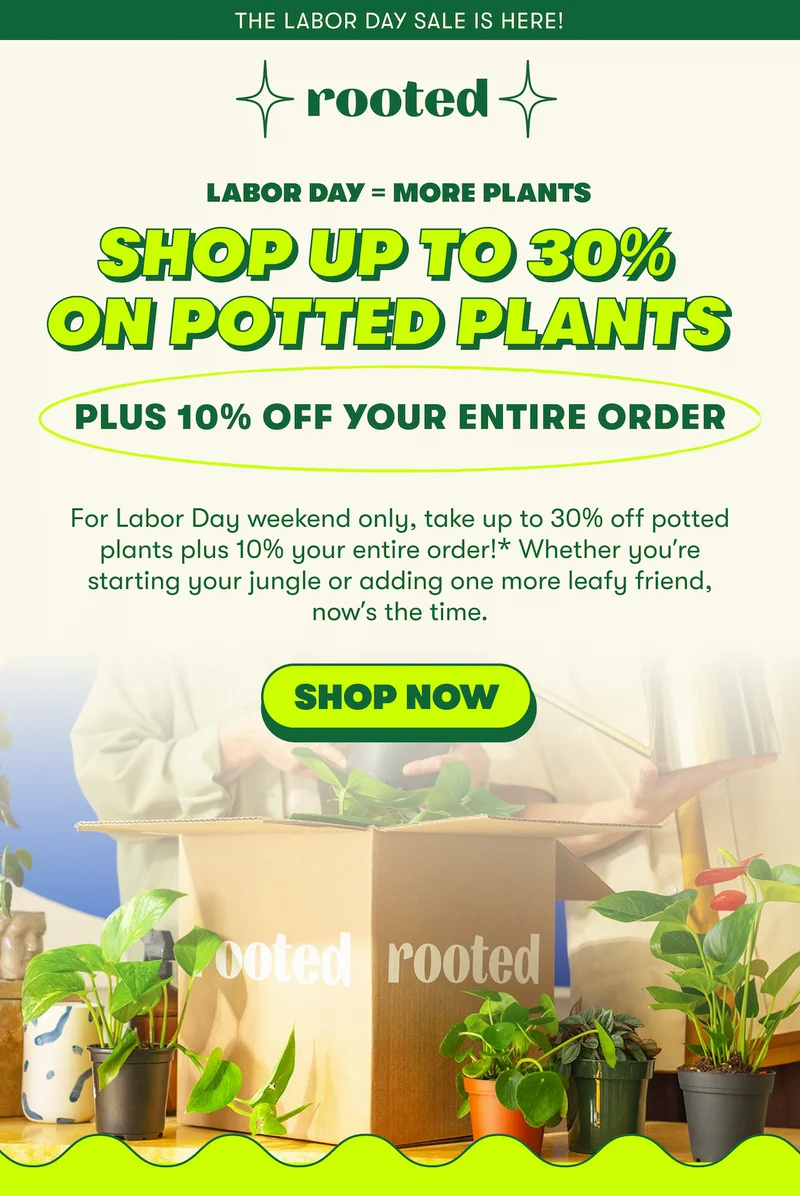 shop the labor day sale