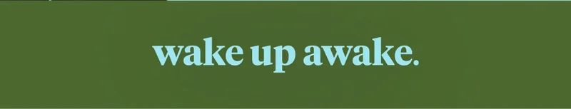 wake up awake.