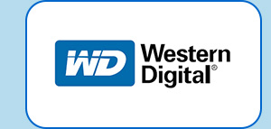 WD