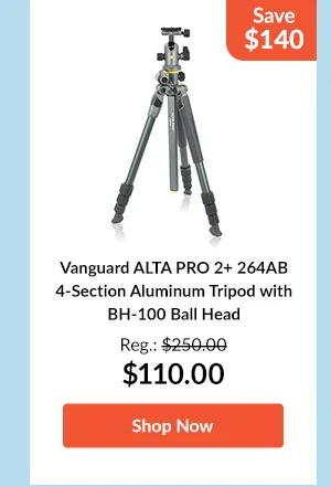 Vanguard ALTA PRO 2+ 264AB 4-Section Aluminum Tripod with BH-100 Ball Head