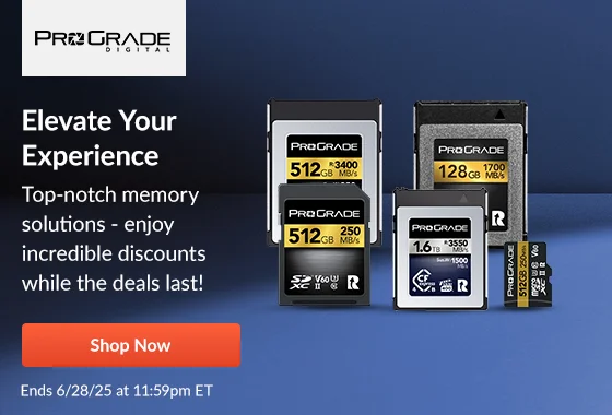 Prograde Elevate Your Experience | Shop Now