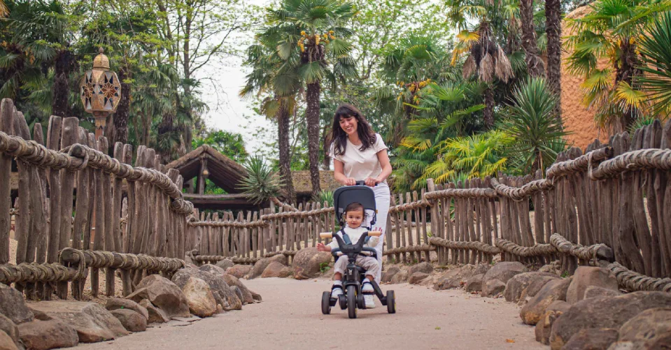How to deal with temper tantrums - survival guide