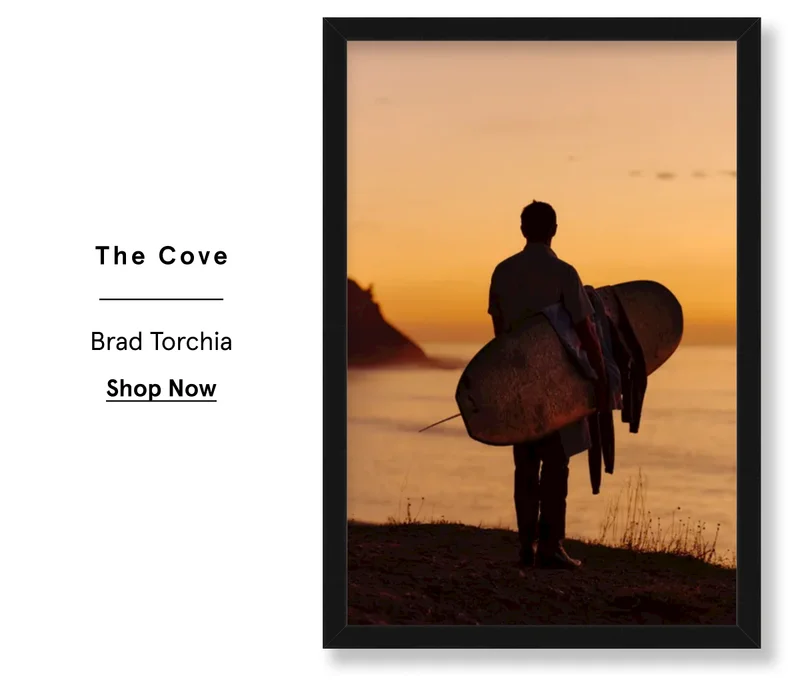 The Cove. Brad Torchia
