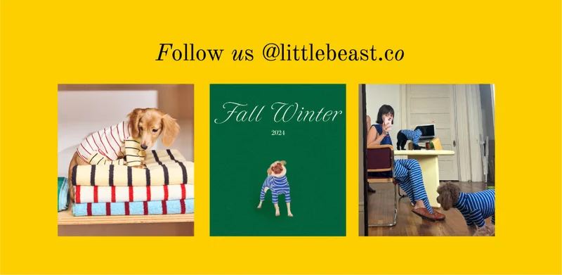 Follow us on Instagram