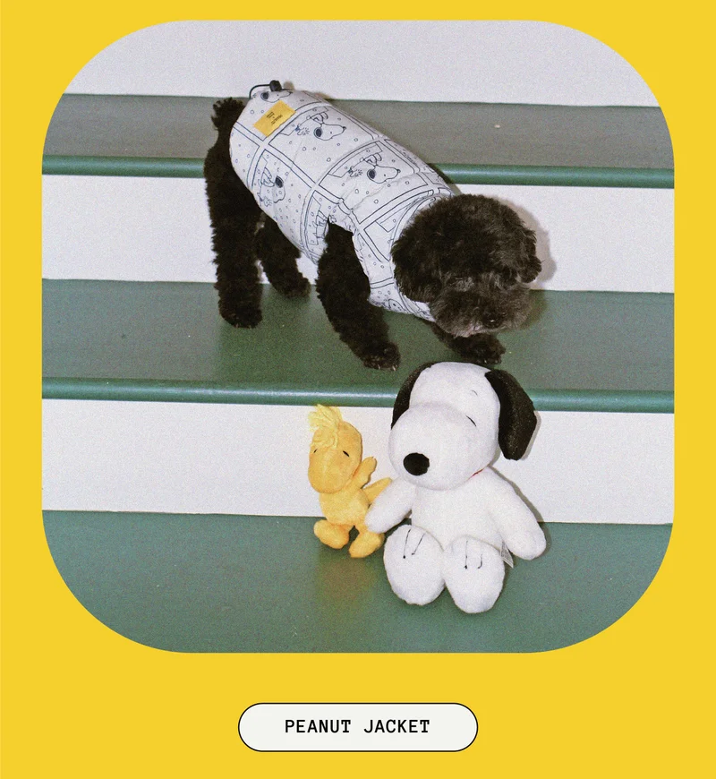 Peanut Jacket