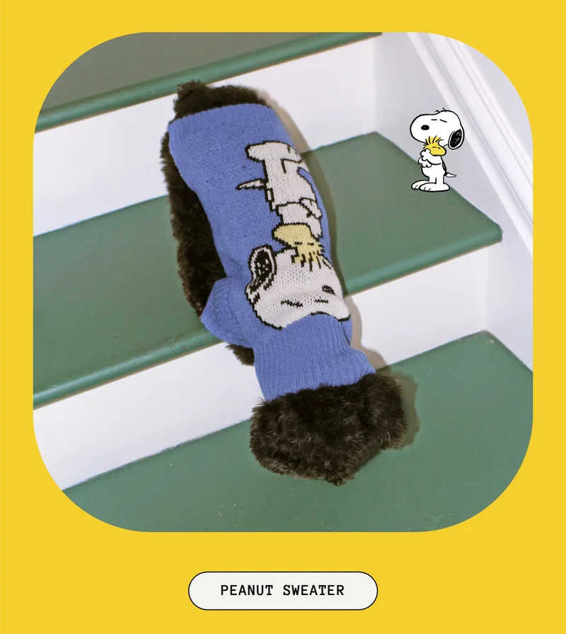 Peanut Sweater