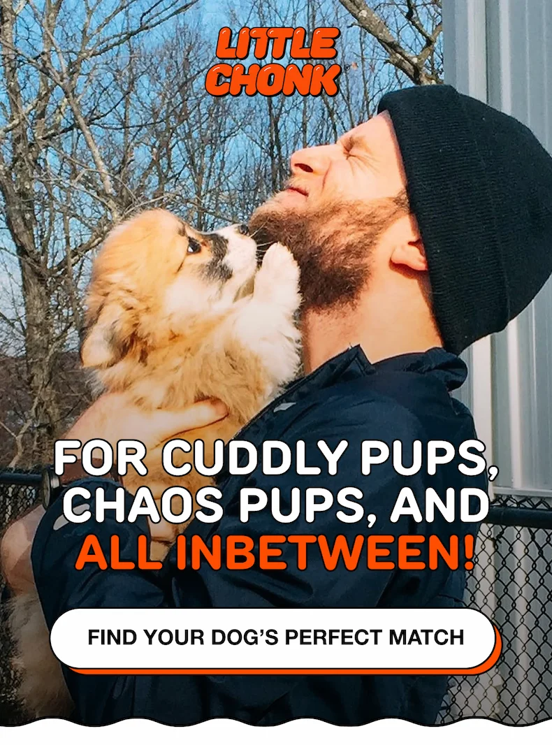 FOR CUDDLY PUPS, CHAOS PUPS, AND ALL INBETWEEN!
