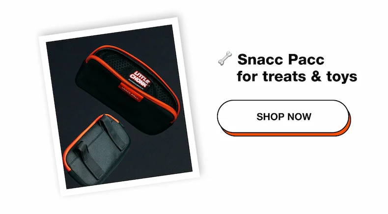 Shop Snacc Pacc