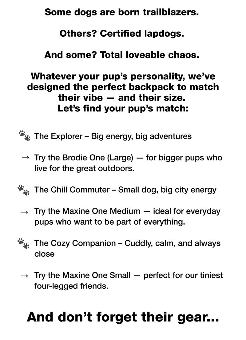 Find Your Dog’s Perfect Match