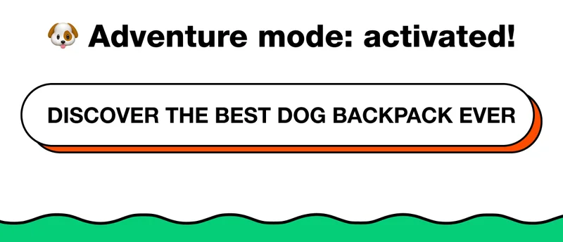 Discover The Best Dog Backpack EVER