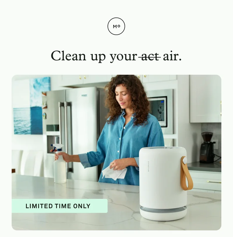 The Spring Cleaning Sale