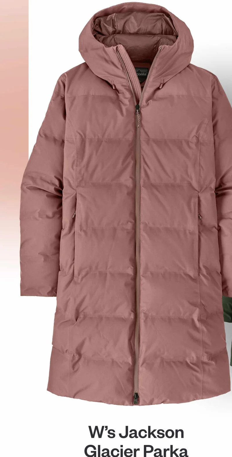 Women's Jackson Glacier Parka
