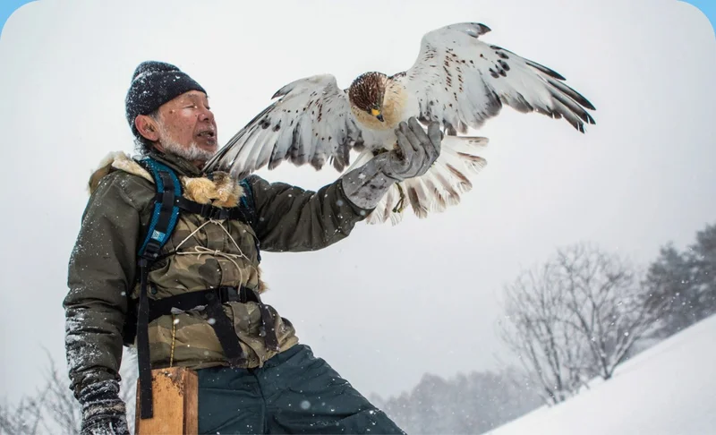 A falconer holds a hawk on his wrist outside on a snowy winter day.